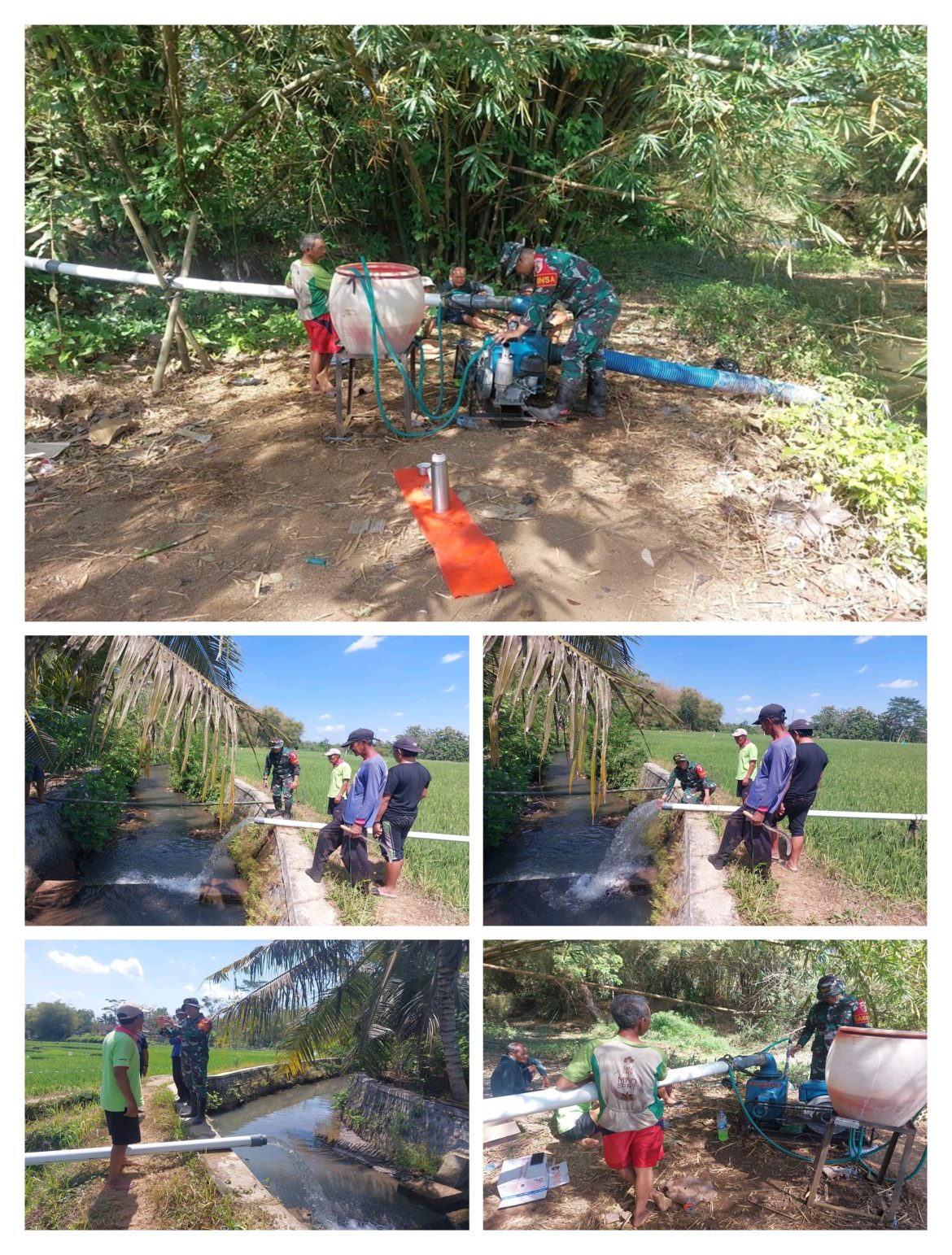 Program Pompanisasi Berkontribusi Positif, Babinsa Pagergunung Blitar Dampingi Poktan Gunung Makmur