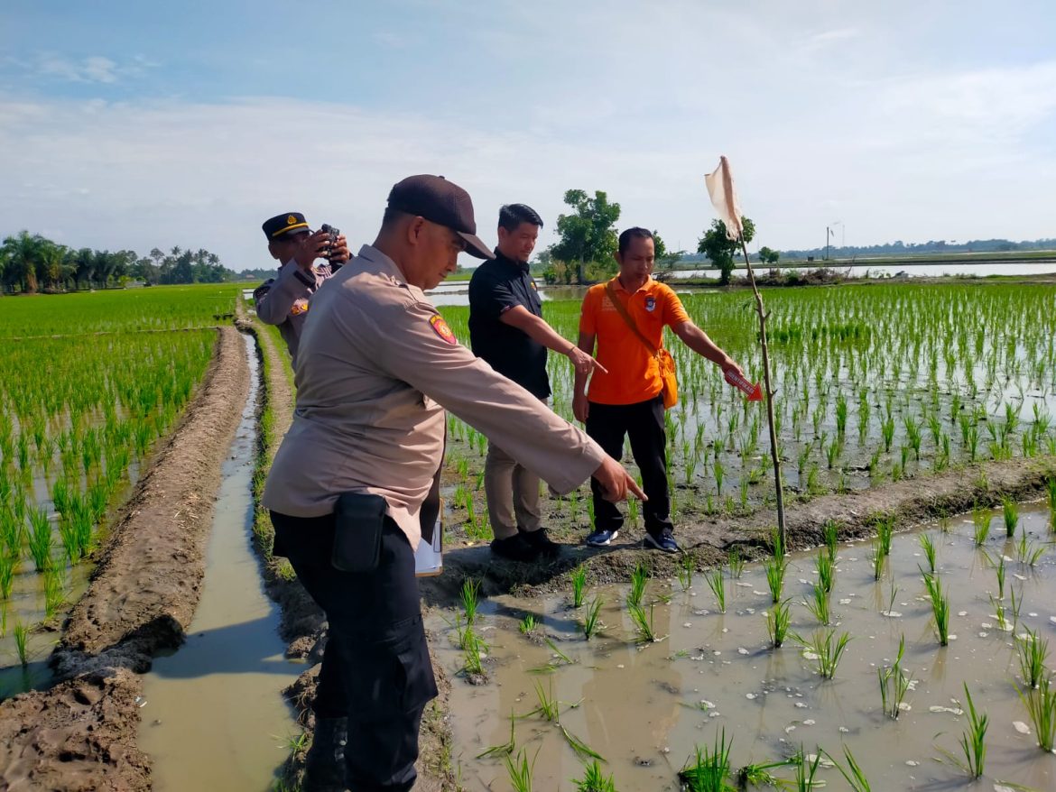 Polsek Firdaus Cek Lokasi Penemuan Mayat di Persawahan