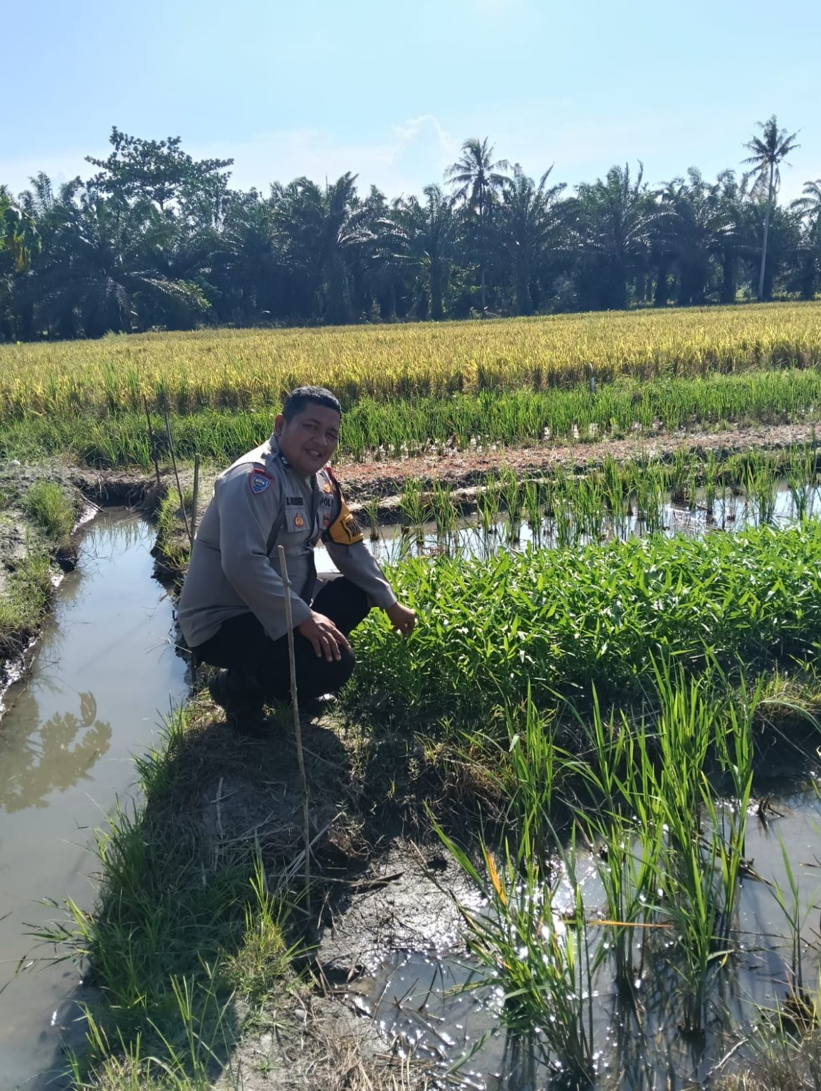 Dukung Asta Cita, Polsek Lima Puluh Ajak Perkuat Ketahanan Pangan