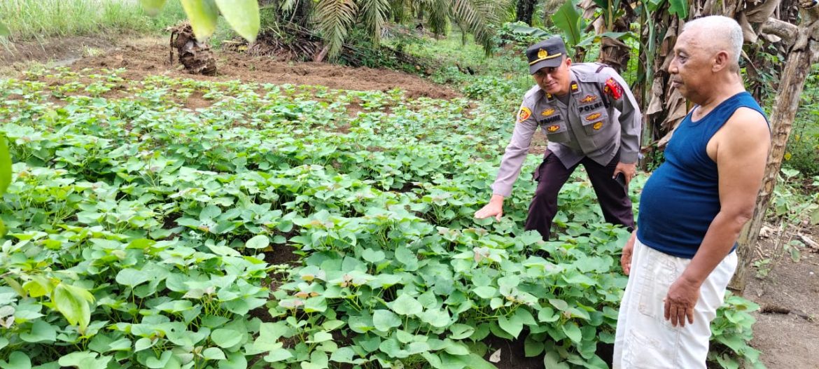 Polsek Labuhan Ruku Ajak Masyarakat Perkuat Ketahanan Pangan