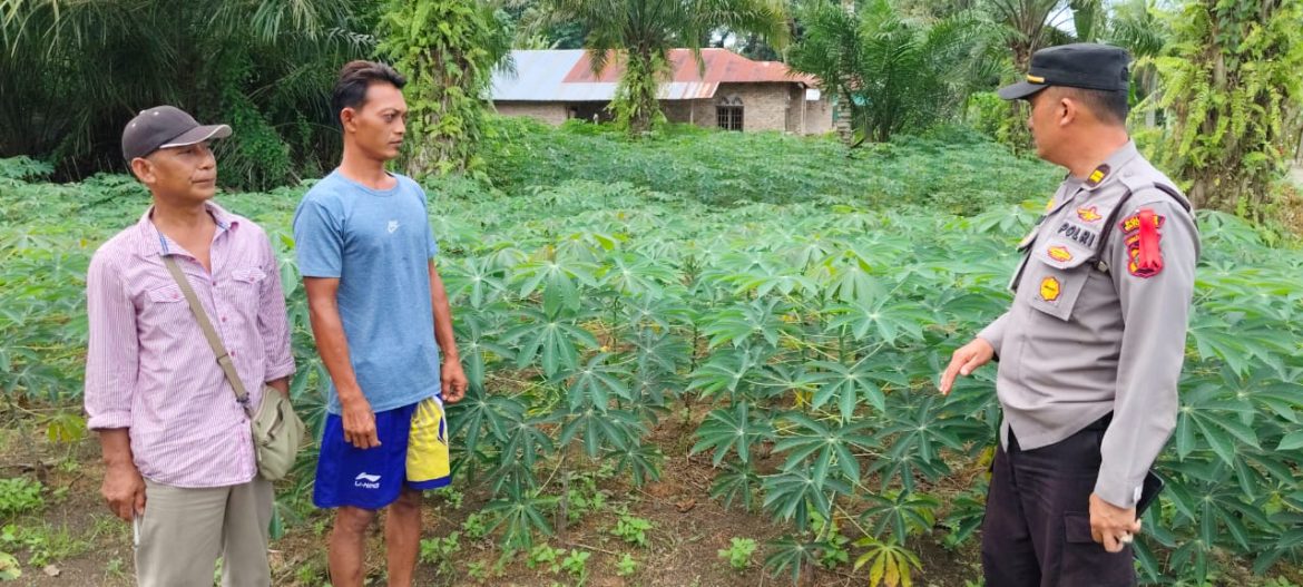 Dukung Ketapang, Polsek Labuhan Ruku Ajak Masyarakat Manfaatkan Lahan Kosong