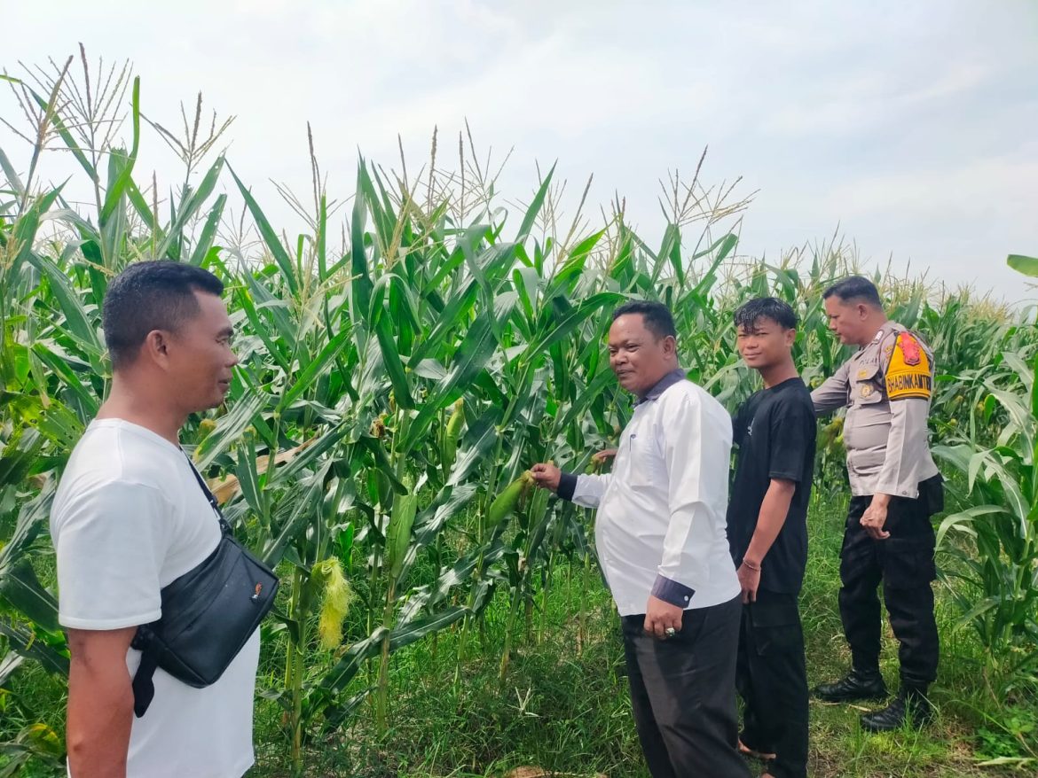 Bhabinkabmas Polsek Indrapura Laksanakan Program Pemerintah Bapak Presiden Republik Indonesia