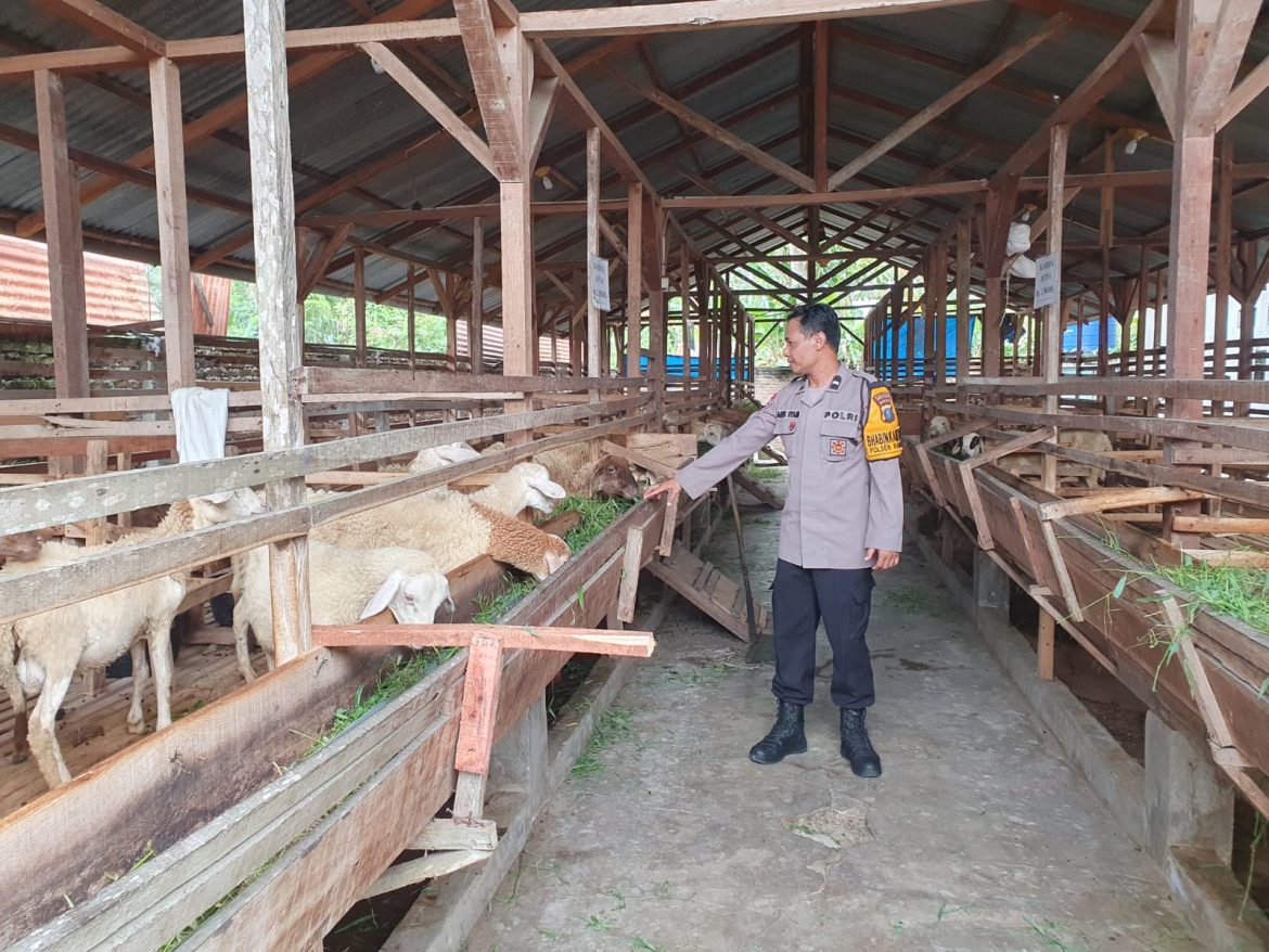 Polsek Rambutan Dukung Ketahanan Pangan Melalui Binluh Peternakan Kambing