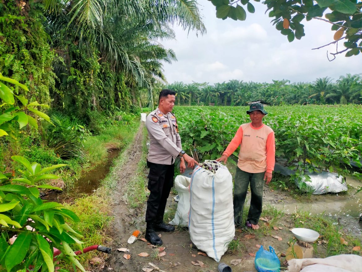 Polsek Indra Pura Dorong Pemanfaatan Pekarangan Ketahanan Pangan