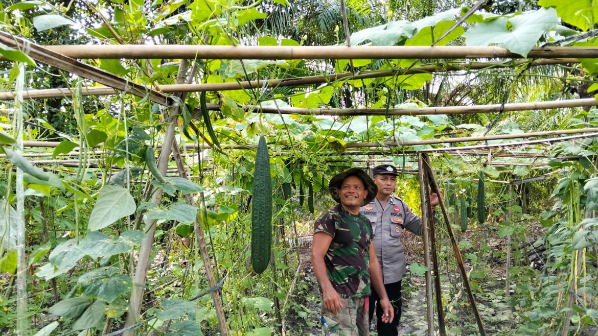 Optimalisasi Lahan Pekarangan, Polsek Medang Deras Dukung Ketahanan Pangan