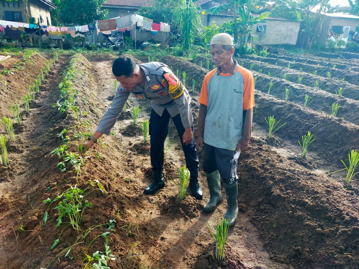 Bhabinkabmas Polsek Indrapura Pengecekan Lahan Ketapang
