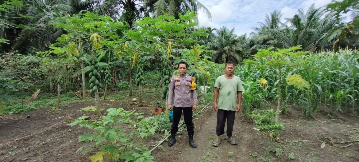 Dukung Asta Cita, Polsek Labuhan Ruku Cek dan Koordinasi Lahan Ketapang