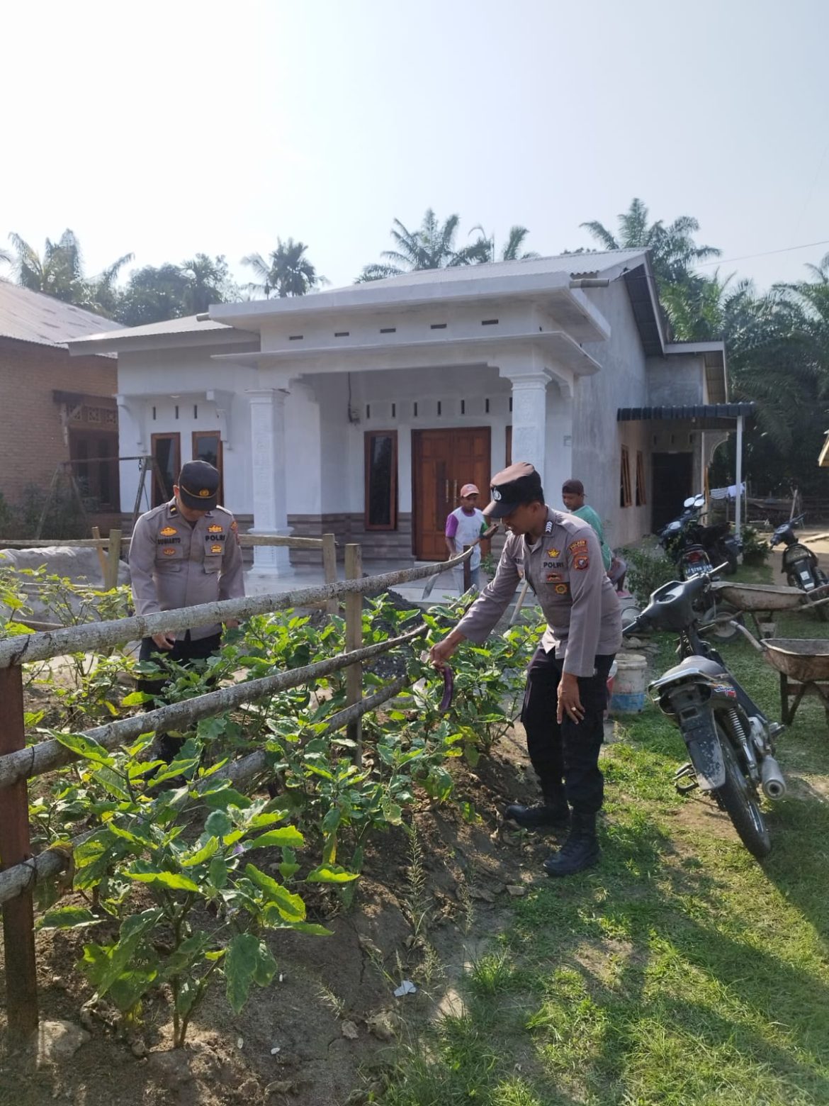 Polri Dorong Ketahanan Pangan, Warga Batu Bara Manfaatkan Pekarangan untuk Pertanian