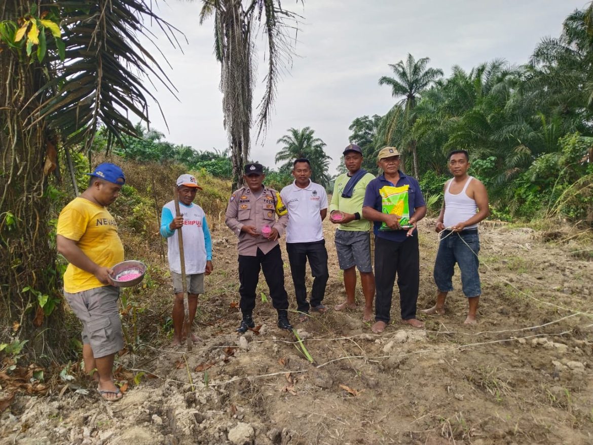 Dukung Ketahanan Pangan, Polsek Labuhan Ruku Ajak Warga Tanam Cabai dan Jagung