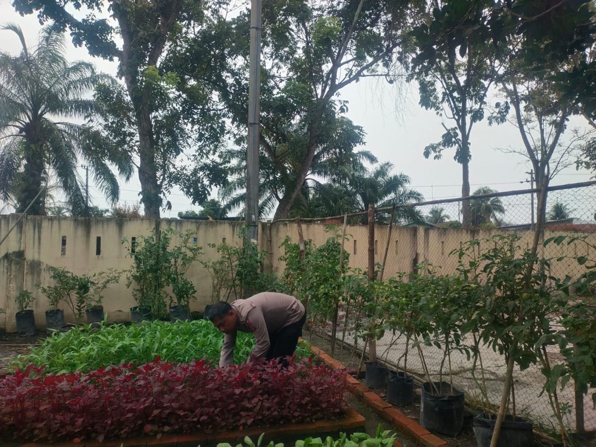 Polsek Indrapura Dukung Ketahanan Pangan dengan Pemanfaatan Lahan Kosong