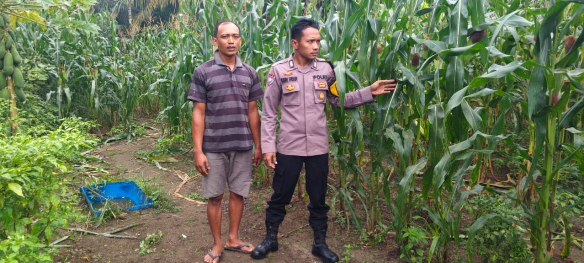 Polsek Labuhan Ruku Dukung Program Ketahanan Pangan Presiden Republik Indonesia