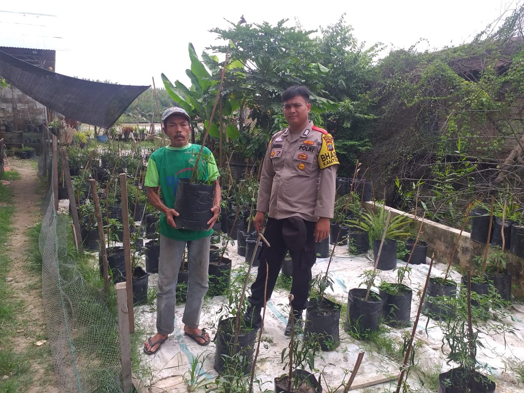 Polsek Medang Deras Cek Lahan Ketahanan Pangan