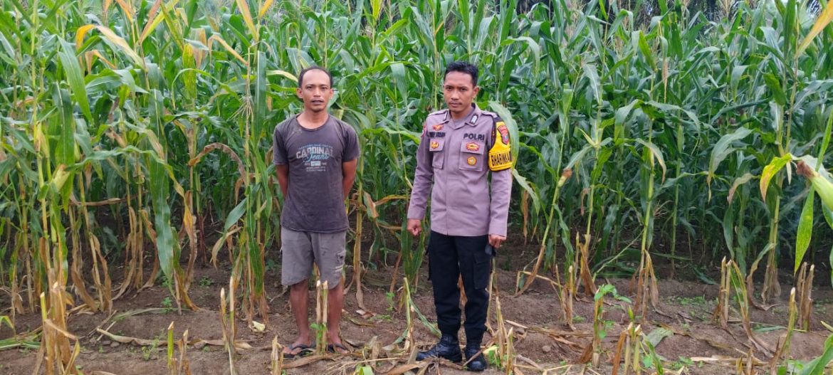 Dukung Ketahanan Pangan, Polsek Labuhan Ruku Ajak Masyarakat Manfaatkan Pekarangan Rumah
