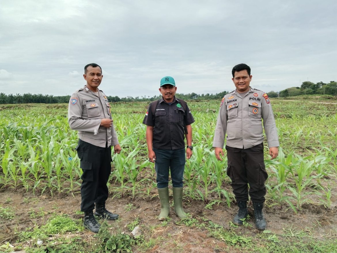 Dukung Program 100 Hari Kerja Pemerintah, Sat Binmas Polres Batu Bara Manfaatkan Lahan Produktif