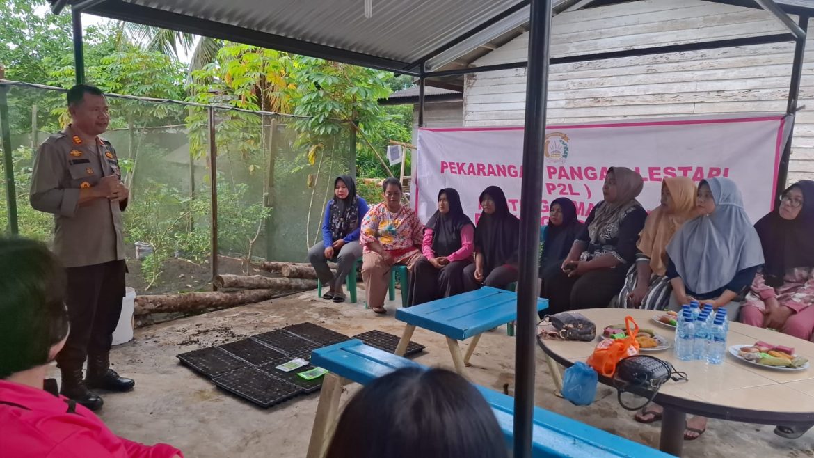 Kapolsek Lima Puluh AKP Tukkar L. Simamora, S.H, M.H Bersama PPL Pertanian Sosialisasi Pembibitan Tanaman Sayur