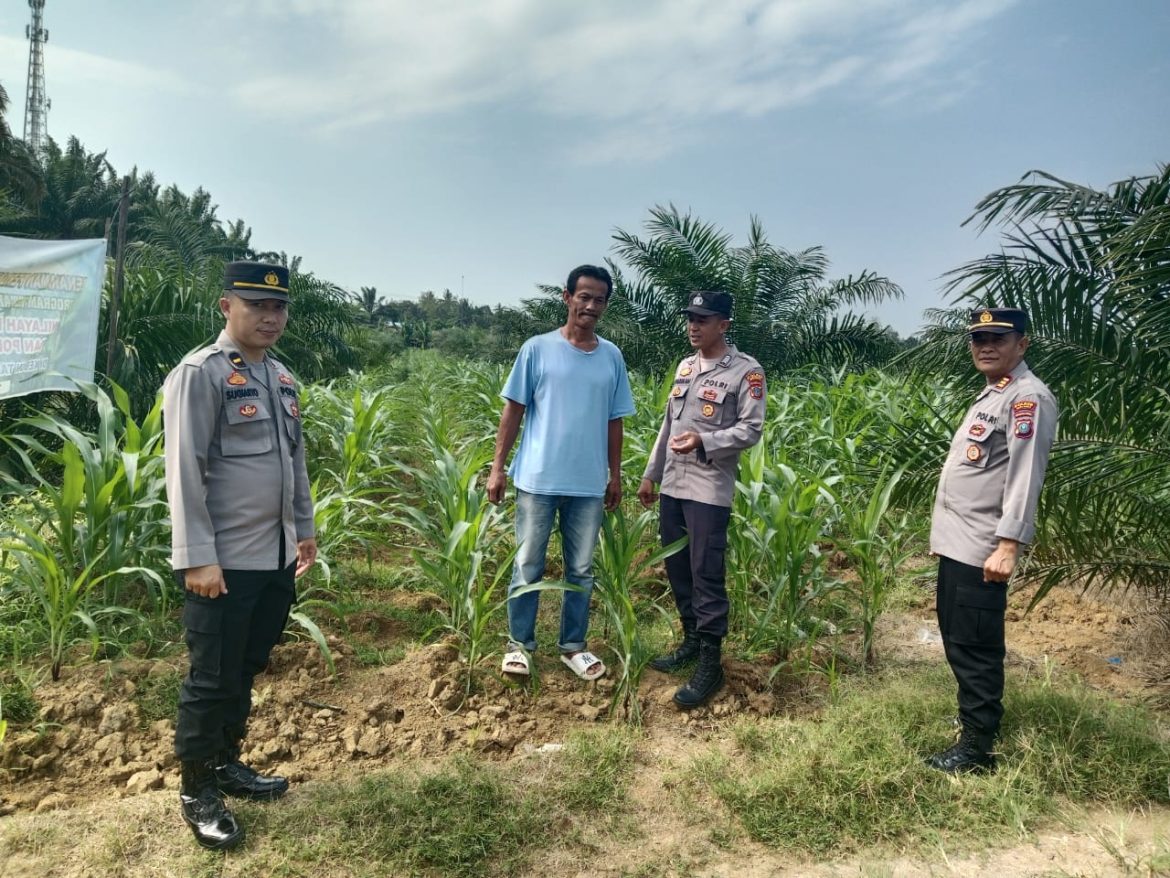 Sat Binmas Polres Batu Bara ,Giat Pengecekan Program Ketahanan Pangan dan Pemanfaatan Lahan