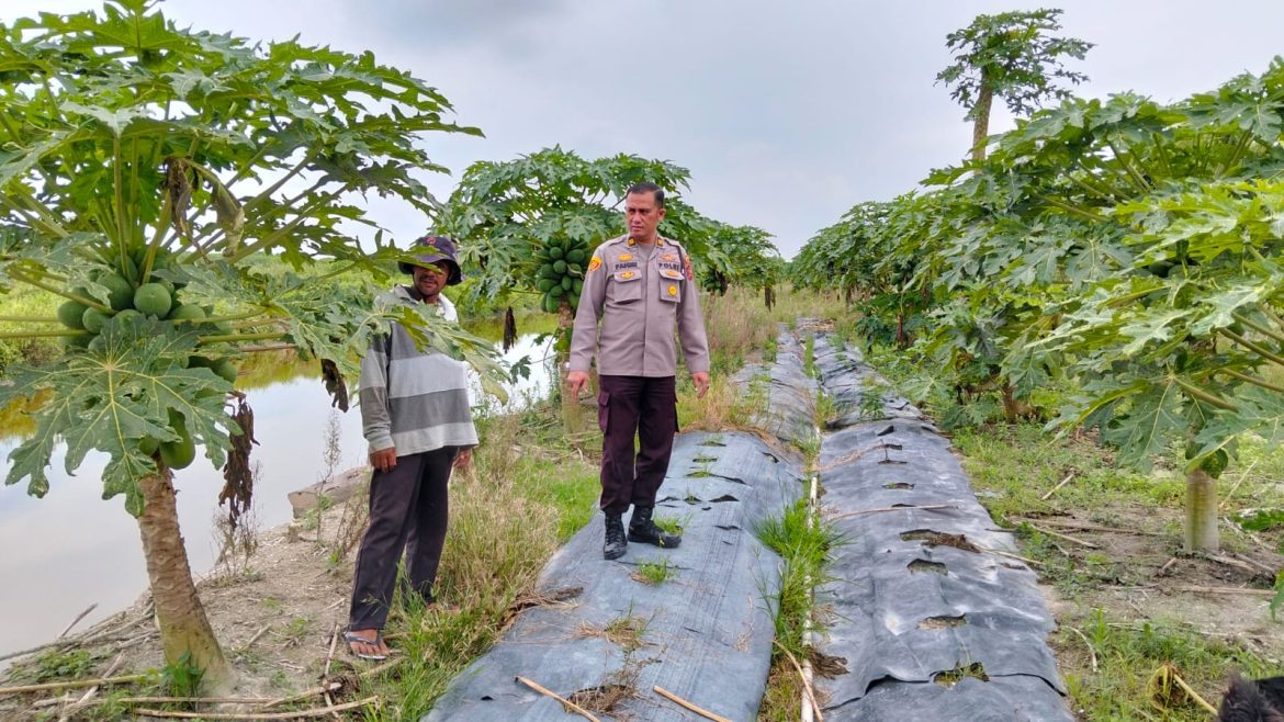 Polsek Medang Deras,Giat Melaksanakan Program 100 hari kerja Presiden Republik Indonesia