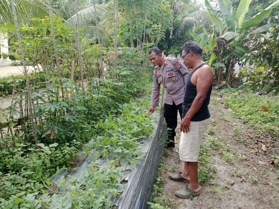 Sat Binmas Polres Batu Bara Pengecekan Program Ketapang dan Pemanfaatan Pekarangan Bergizi