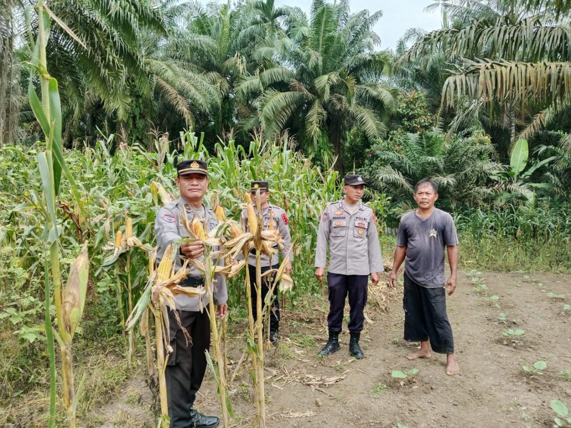 Sat Binmas Polres Batu Bara , Pengecekan Program Ketahanan Pangan Di Desa Karang Baru