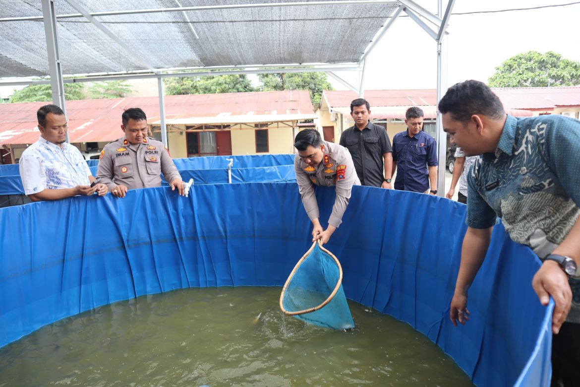 Panen Ikan Lele, Kapolres Batu Bara AKBP Taufik Hidayat Thayeb, S.H, S.Ik: Kita Dukung Program Ketapang