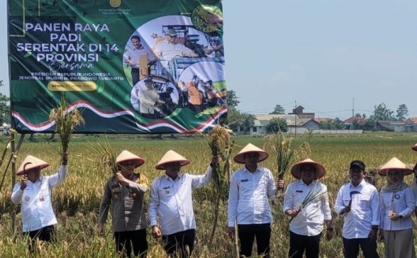 Kadistan Karawang Targetkan 350 Ribu Ton Hasil Panen Raya pada April 2025