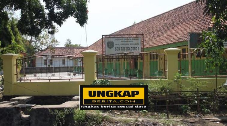 Parah!! Oknum Guru SDN 1 Teluk agung Diduga Sering Bolos Saat Jam Mengajar