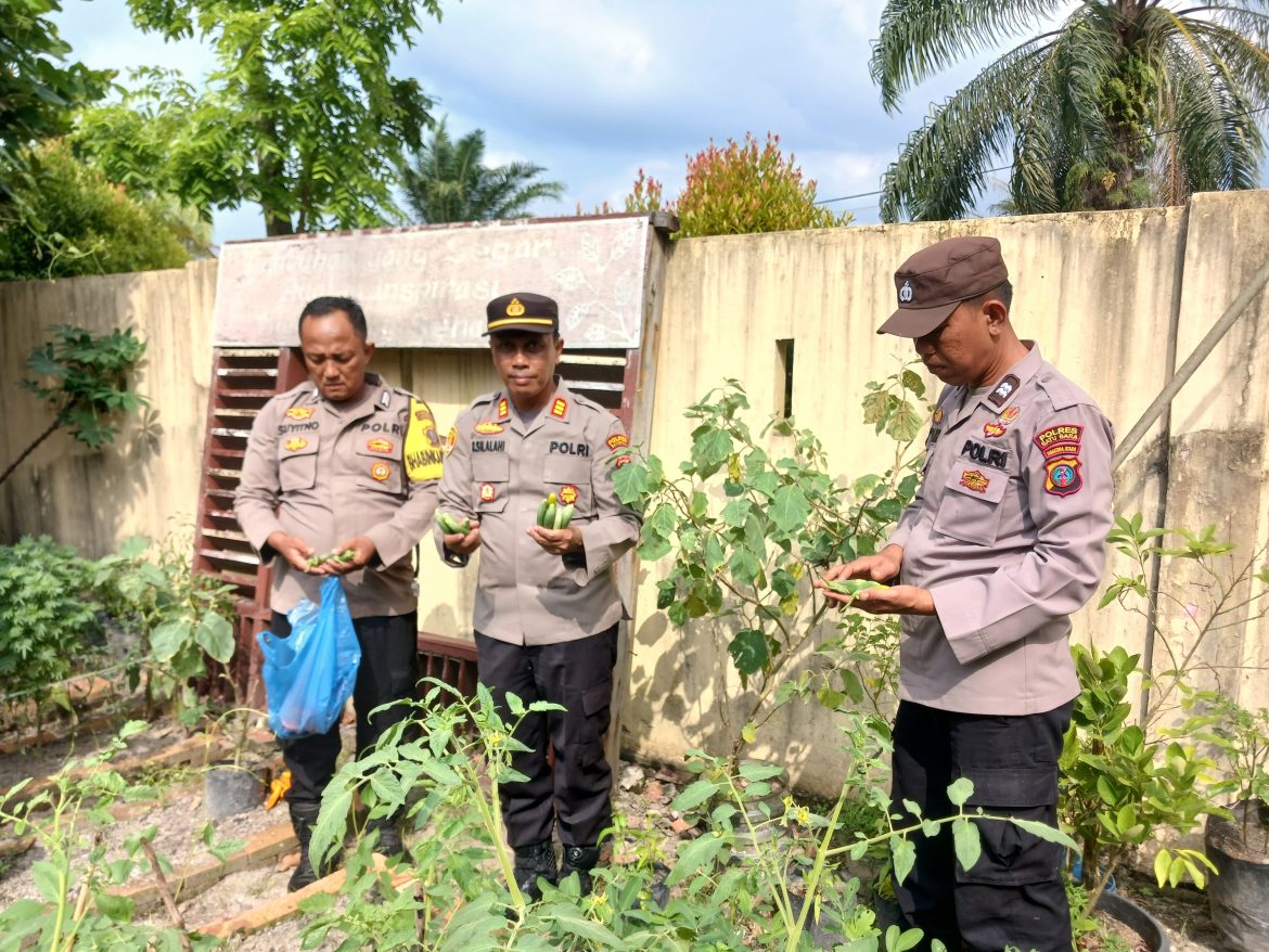 Dukung Ketapang, AKP Reynold Silalahi, S.H Ajak Warga Manfaatkan Lahan Mapolsek Indrapura