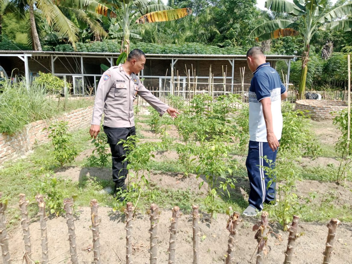 Sat Binmas Polres Batu Bara Pengecekan Pemanfaatan Pekarangan Bergizi