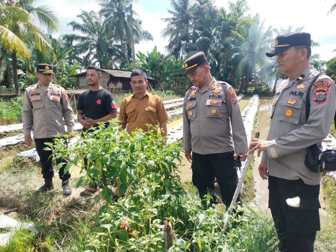 Sat Binmas Polres Tebing Tinggi Tinjau Lahan P2B di Desa Kuta Baru