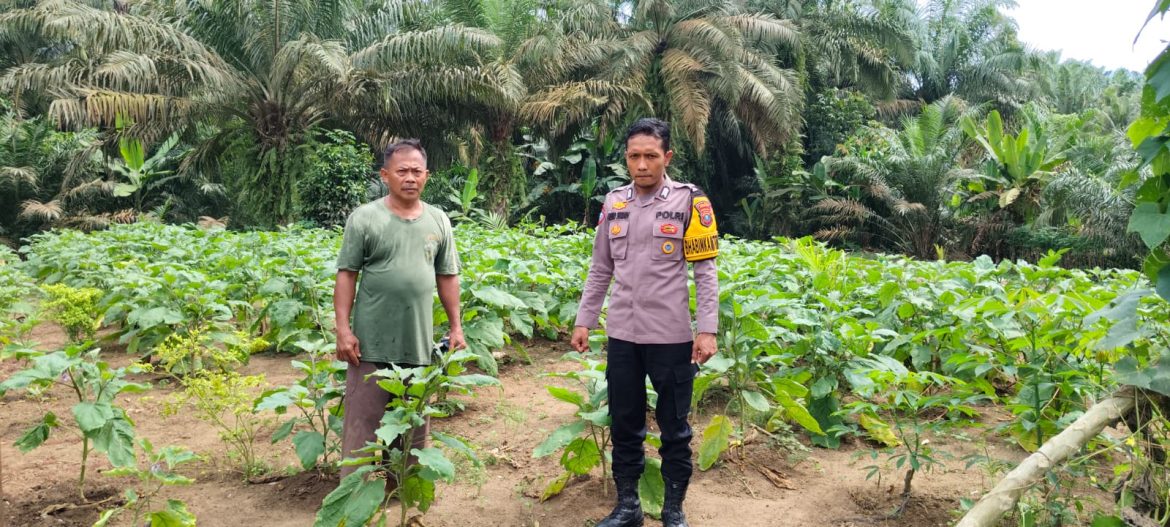 Polsek Labuhan Ruku Gerakkan Warga Tingkatkan Ketahanan Pangan