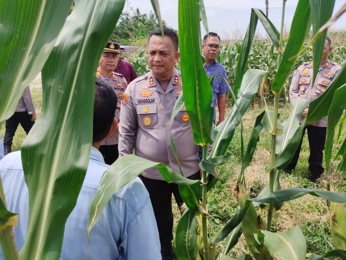 Kapolres Batu Bara Cek Lahan Ketahanan Pangan