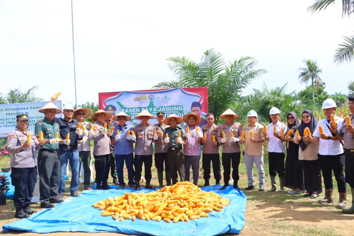 Polres Tebing Tinggi Panen Raya Jagung Ketahanan Pangan Nasional