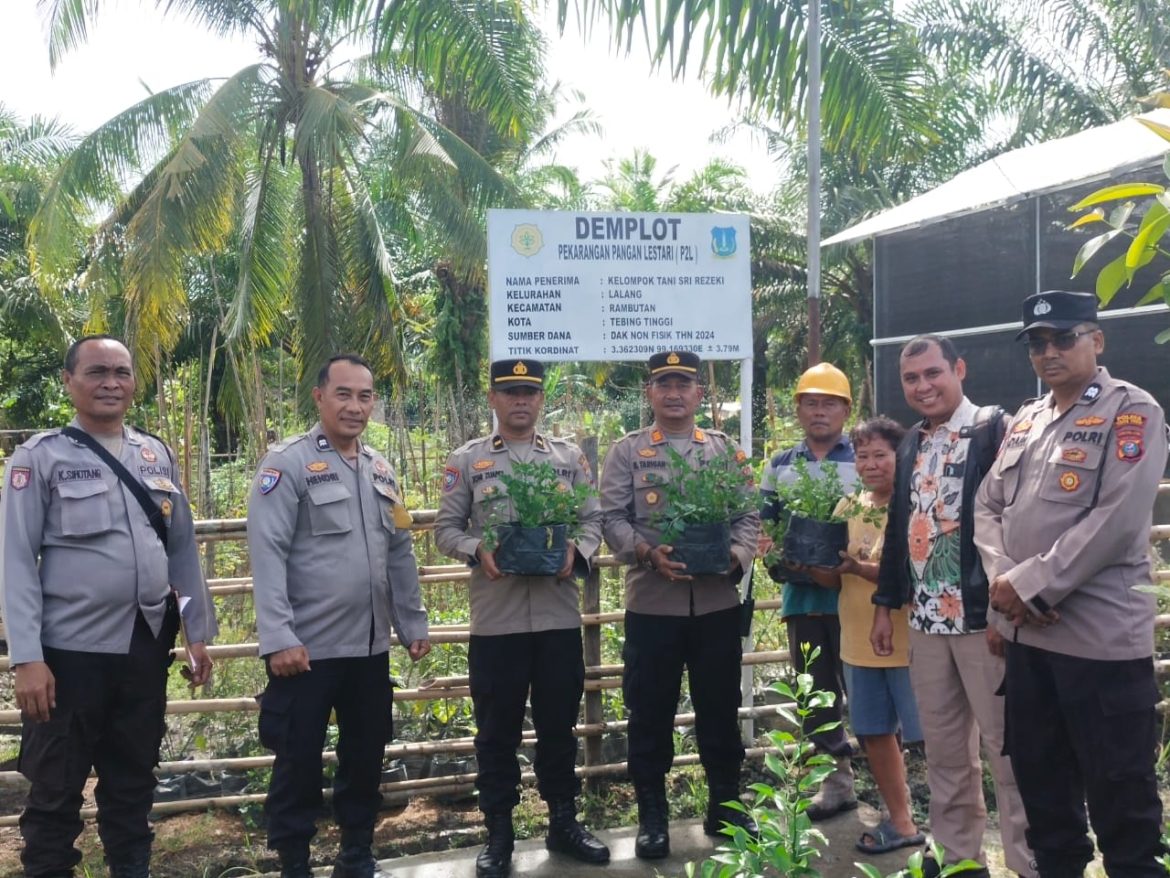 Sat Binmas Polres Tebing Tinggi Tinjau Program P2B Kelompok Tani di Kelurahan Lalang