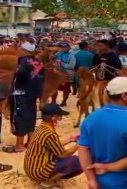 Pasar Ternak Baru Tlagah, Langkah Strategis Pemerintah Desa Dorong Ekonomi Daerah